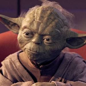 Meet your Posher, Pedro alberto